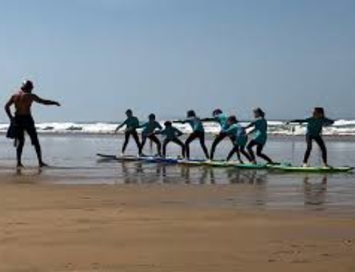 COURS DE SURF LÈGE CAP FERRET (33) jours fériés en juillet et août 2025