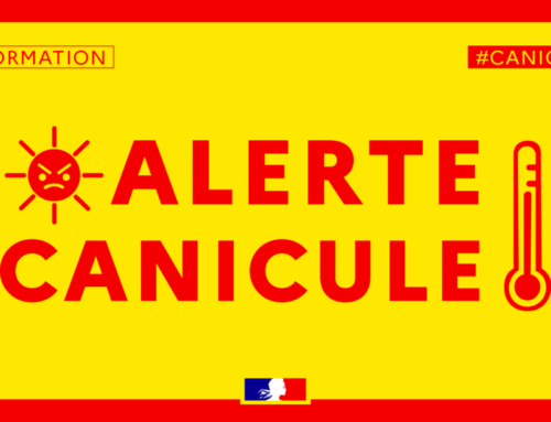 Canicule : la FSU-SNUipp 86 interpelle la DASEN