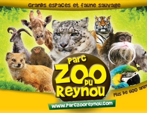 Journée parc ZOO du REYNOU (87 LE VIGEN)
